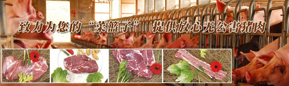 公司简介
